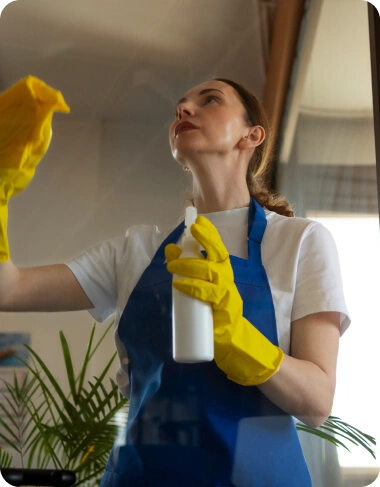 Window-Cleaning