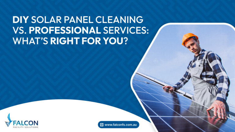 DIY Solar Panel Cleaning, Professional Solar Panel Cleaning Services, Solar Panel Maintenance, Solar Cleaning Guide, Solar Efficiency, Solar Panel Cleaning Cost, Solar Panel Care Tips, Choosing Solar Panel Cleaning, Best Solar Cleaning Methods, Benefits of Professional Solar Cleaning